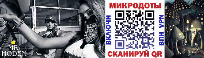 Купить  Ленск  Псилоцибиновые грибы GOLDEN TEACHER 